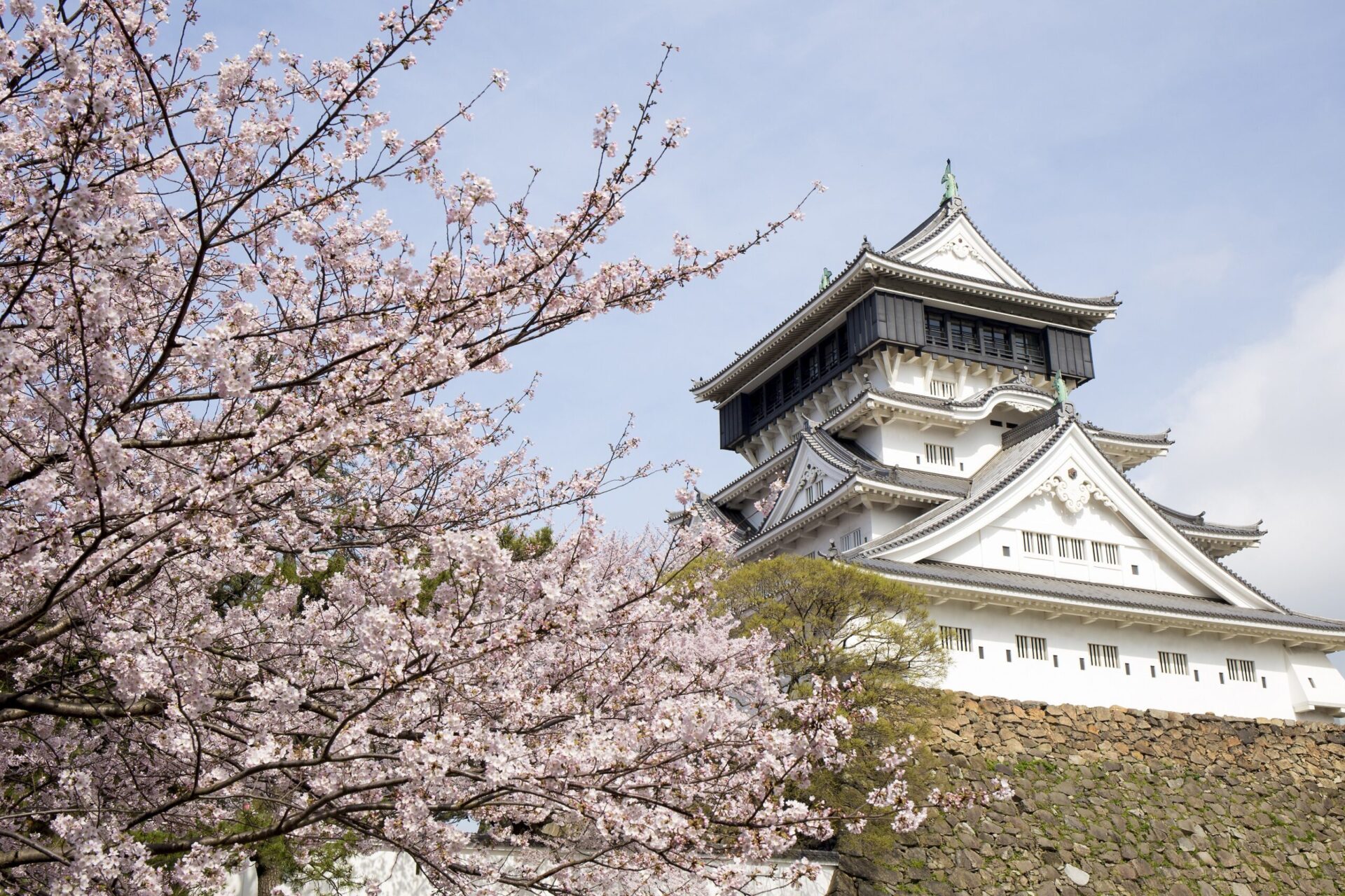 【お花見スポット】北九州の桜の名所をご紹介！
